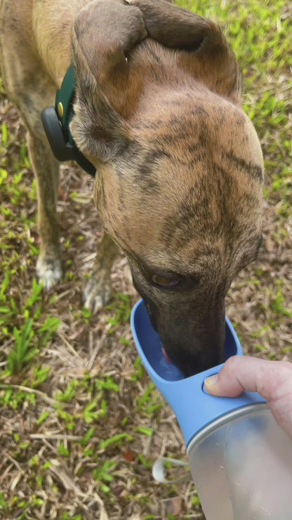 Easy Drink Water Bottle